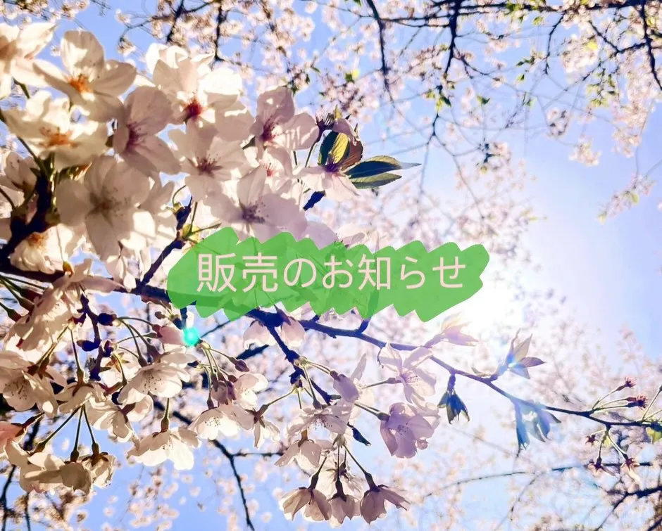 【就労継続支援】利用者様の手作りたくさん✨明日の出店の最終お知らせ