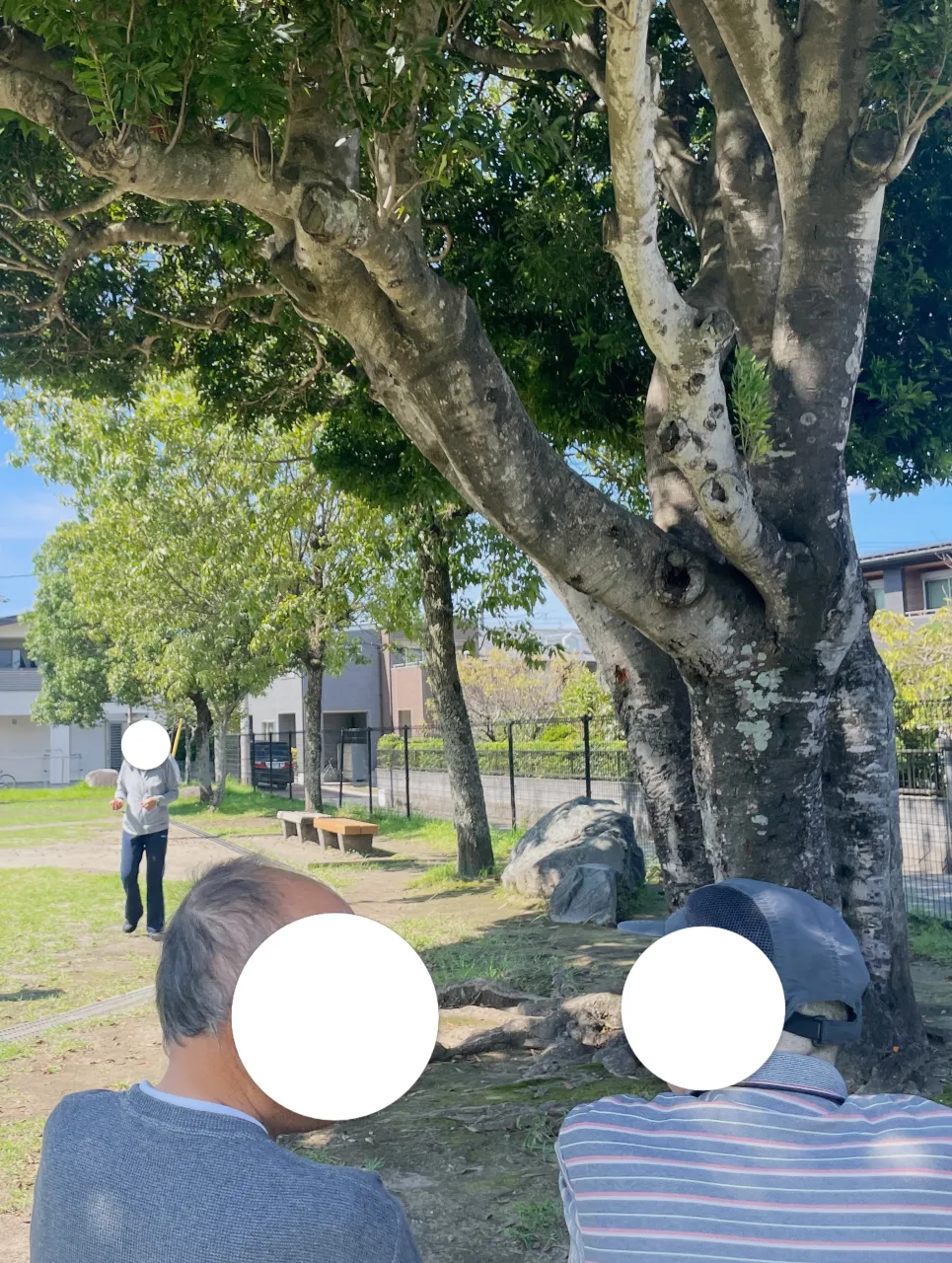 おはようございます☀