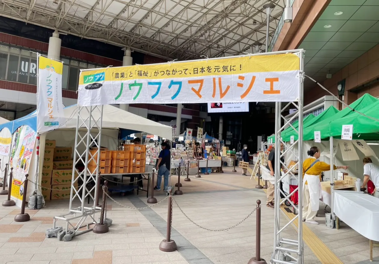 おはようございます🌤️